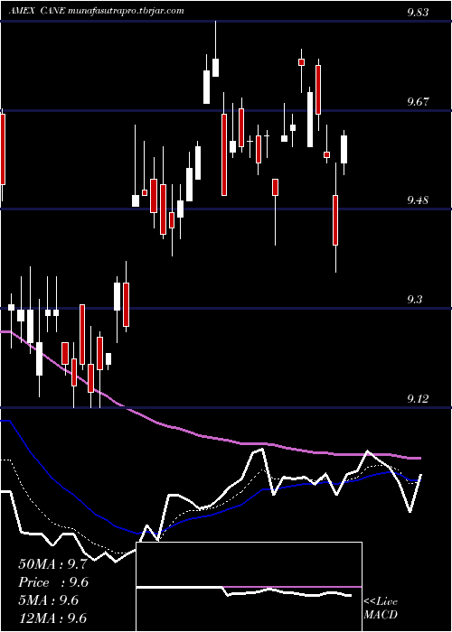  Daily chart TeucriumSugar