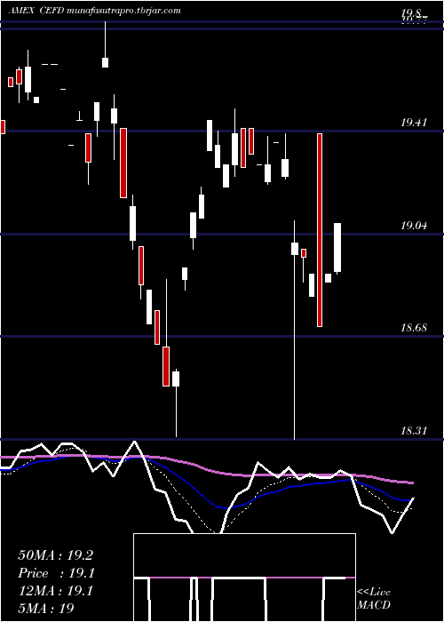 Daily chart EtracsMonthly