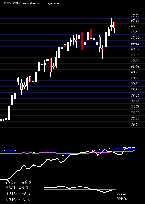 weekly chart UsaSmall