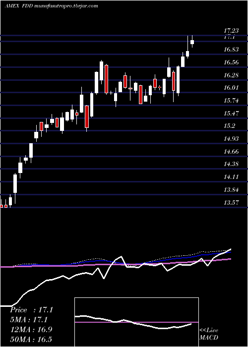 weekly chart StoxxEuro
