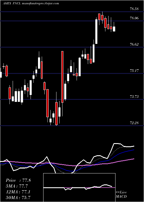 Daily chart FidelityMsci