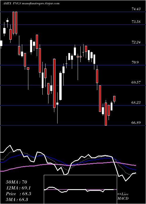  Daily chart MicrosectorsFang