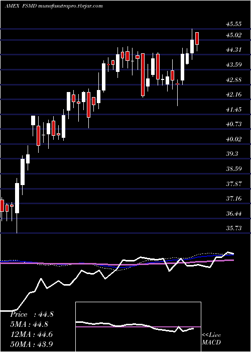 weekly chart FidelitySmall