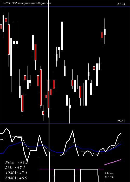  Daily chart IntermediateMuni