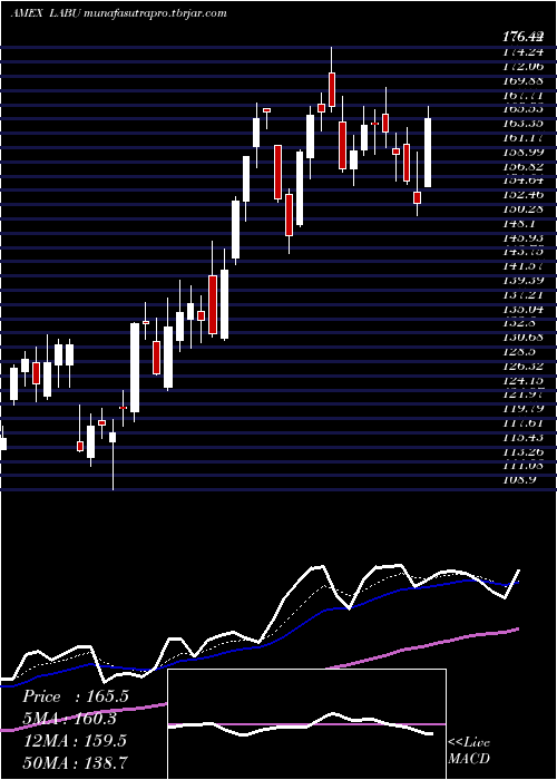 Daily chart DirexionDaily