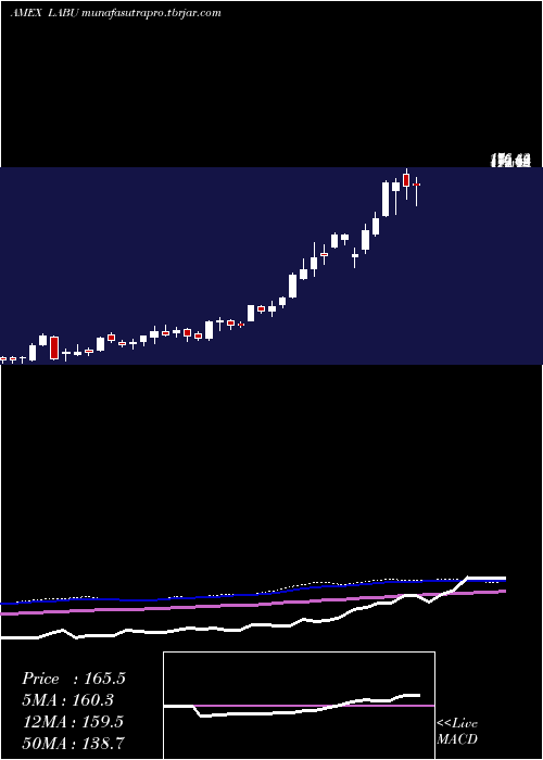 weekly chart DirexionDaily
