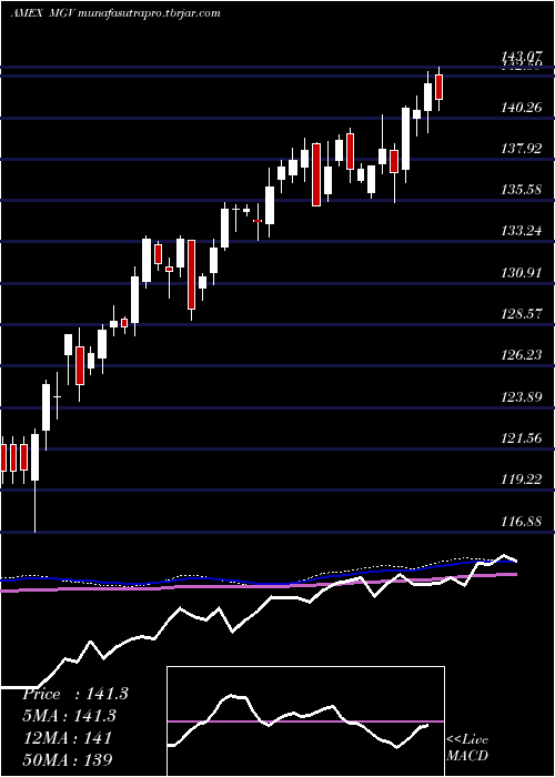 weekly chart Megacap300