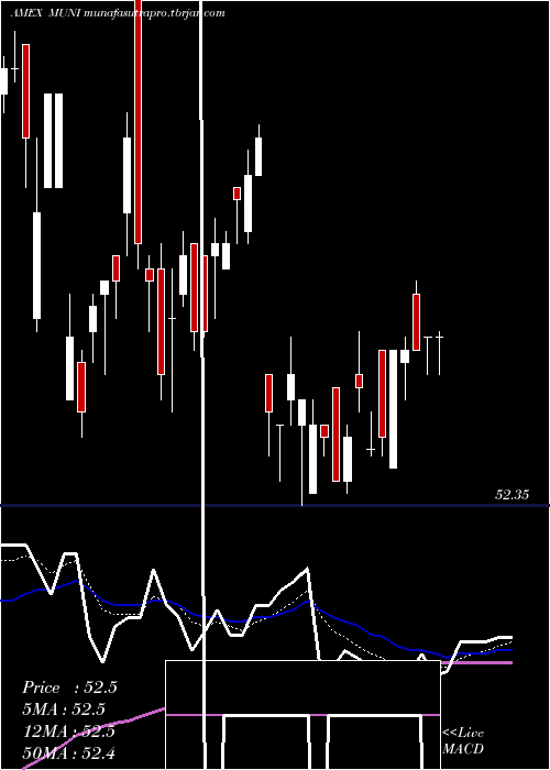 Daily chart IntermediateMuni