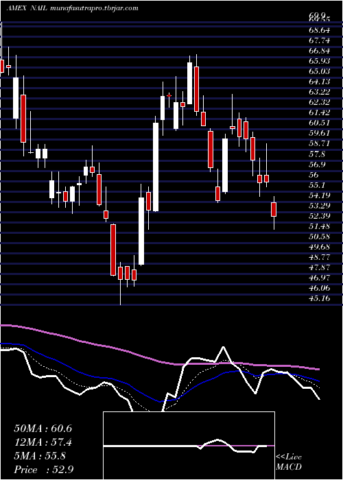 Daily chart DirexionDaily