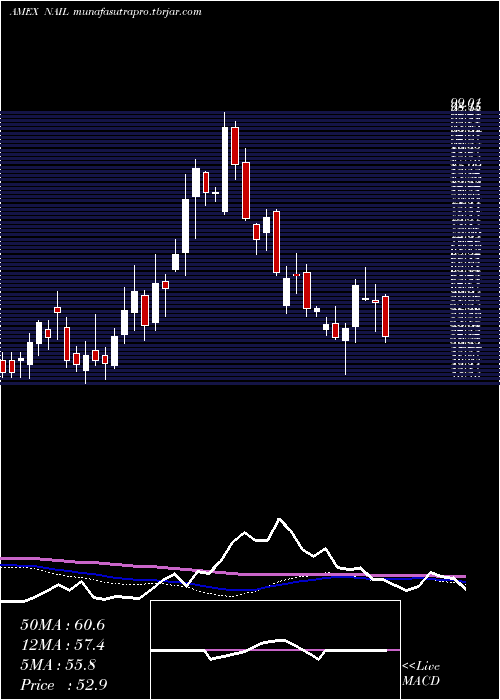 weekly chart DirexionDaily