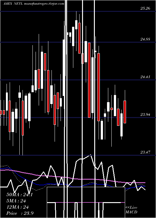  weekly chart NetleaseCorporate