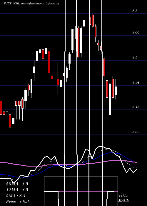  Daily chart NeubergerBerman