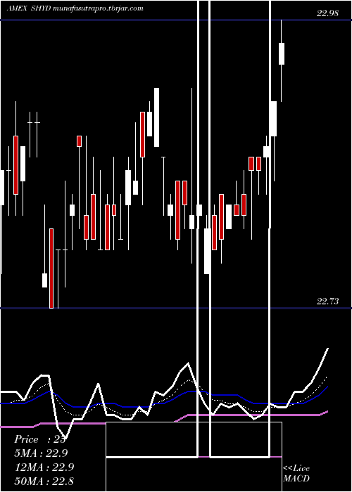 Daily chart MarketVectors
