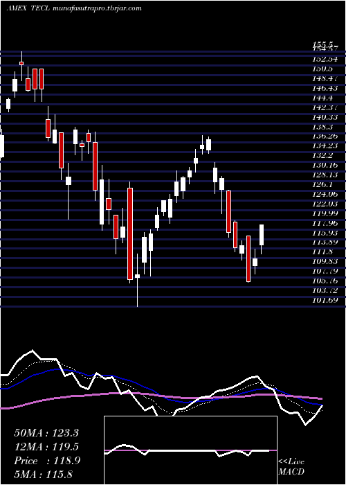 Daily chart TechnologyBull