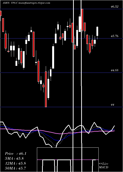 Daily chart TimothyPlan