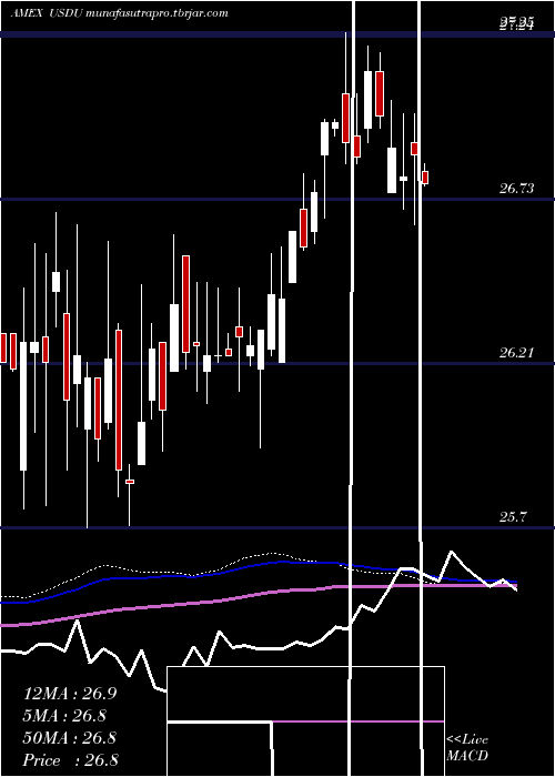 weekly chart WisdomtreeBloomberg