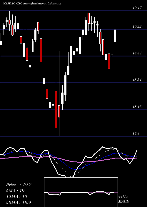  Daily chart CalamosStrategic