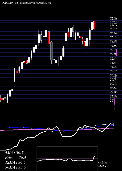  weekly chart CsxCorporation