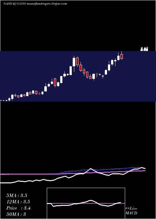  weekly chart GossamerBio