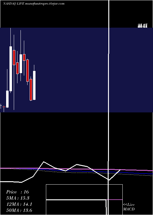 monthly chart LiveVentures