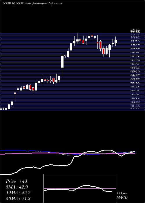  weekly chart NapcoSecurity