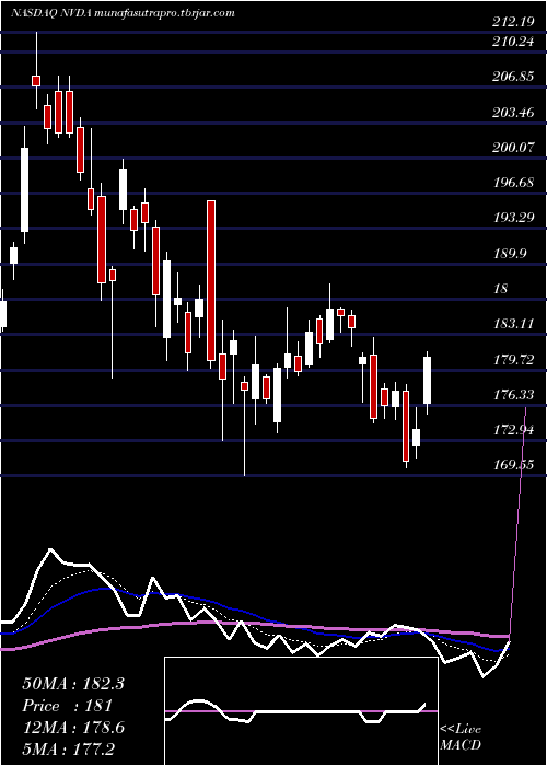 Daily chart NvidiaCorporation