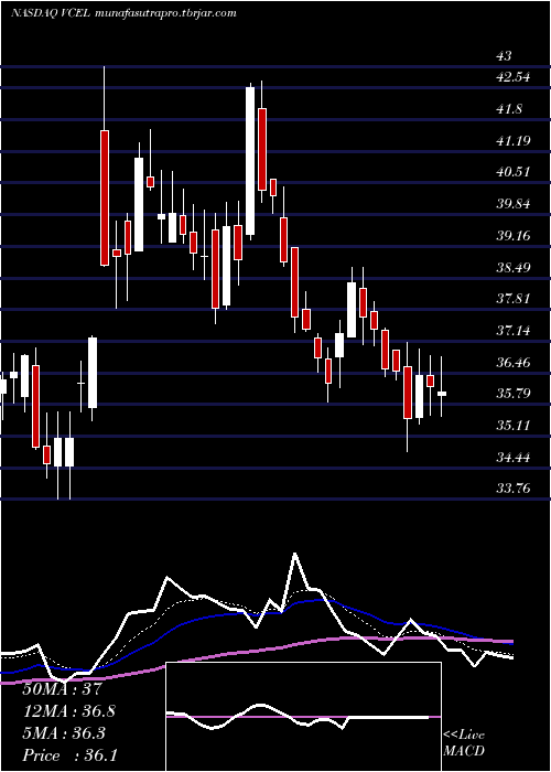 Daily chart VericelCorporation