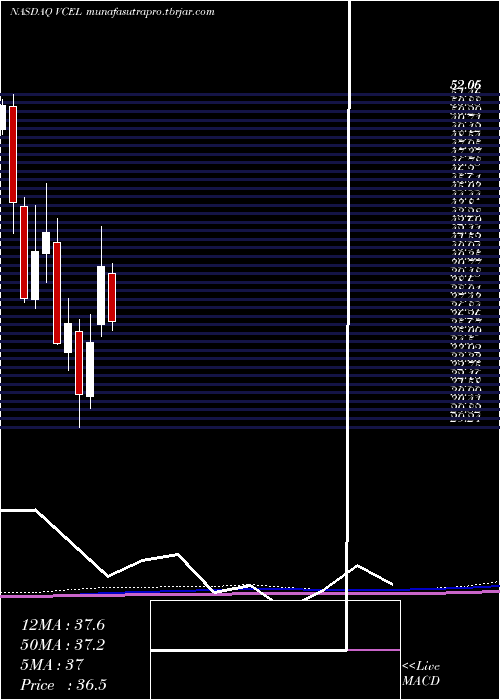 monthly chart VericelCorporation