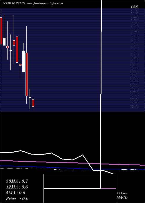 monthly chart ZhongchaoInc
