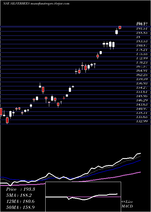 Daily chart NipponamcNetfsilver