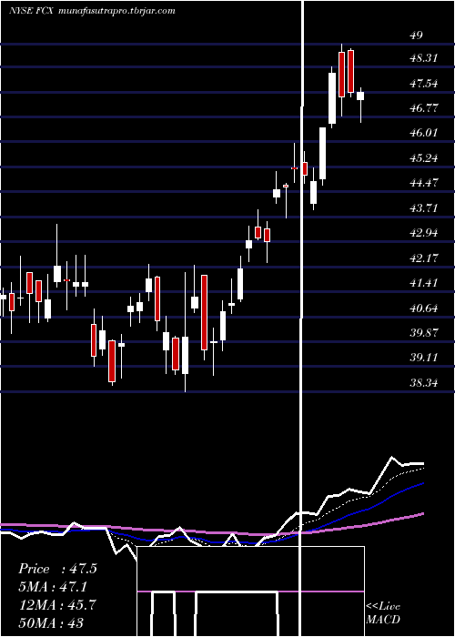 Daily chart FreeportMcmoran
